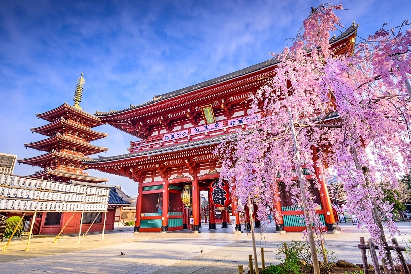Top 10 Tourist Attractions In Tokyo, Japan